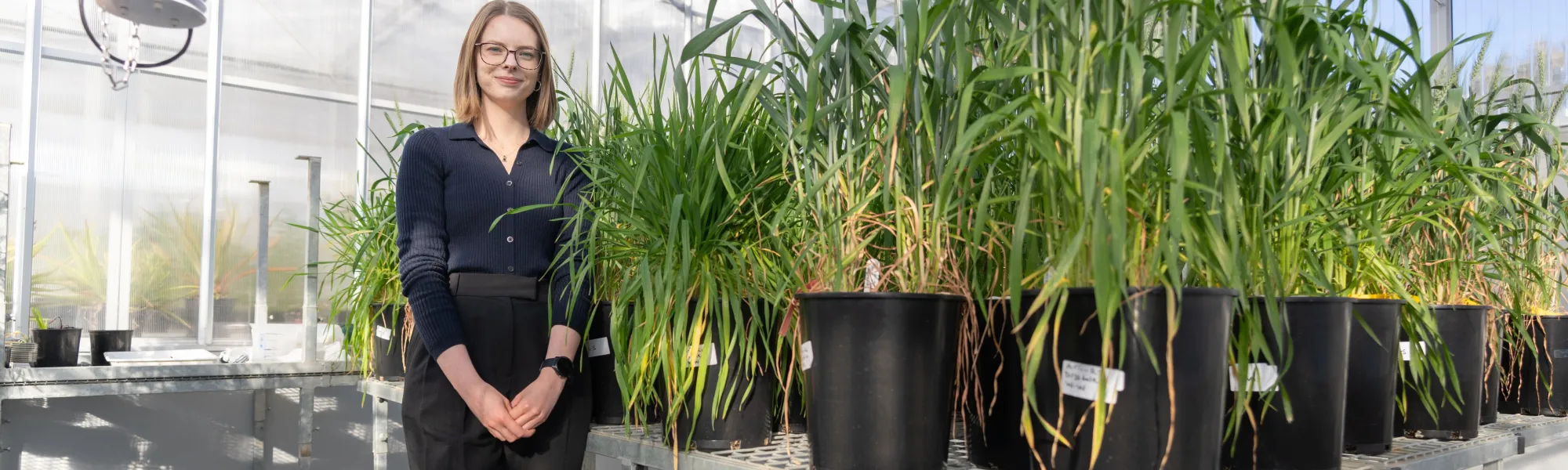 Samantha McGaughey/ANU