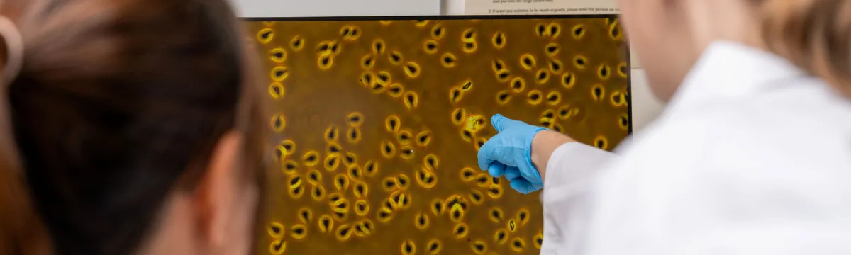 Biology students investigate giardia under a microscope