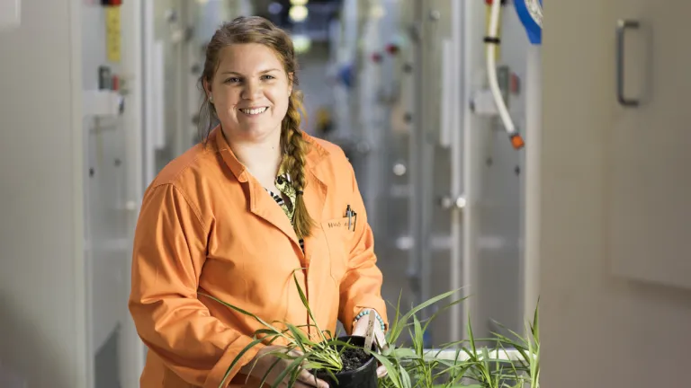 Helen-Osbourne-plant-cabinet-websize